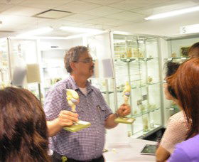 Museum Of Human Disease - Timeshare Accommodation 3