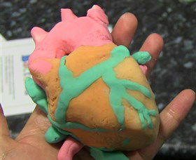 Museum Of Human Disease - Timeshare Accommodation 4