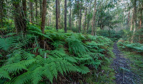 Dalrymple-Hay Nature Reserve - Timeshare Accommodation 0