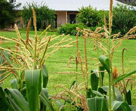 Experiment Farm Cottage - Timeshare Accommodation 4