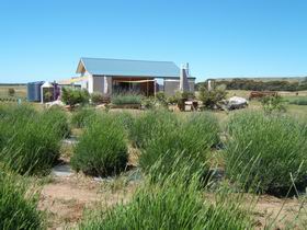 Emu Bay Lavender - Timeshare Accommodation 1