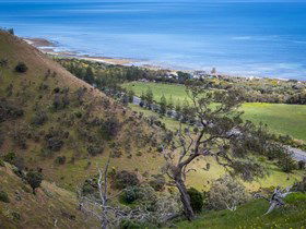 Lady Bay Beach - Timeshare Accommodation 1