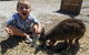 Animal Farm Goolwa - thumb 0
