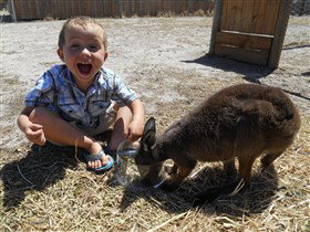Animal Farm Goolwa - Timeshare Accommodation 0