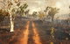 Paul Arnold Gallery - thumb 5