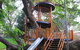 George Brown Darwin Botanic Gardens - thumb 2