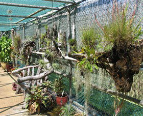 George Brown Darwin Botanic Gardens - Timeshare Accommodation 5