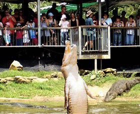 Crocodylus Park - Timeshare Accommodation 0