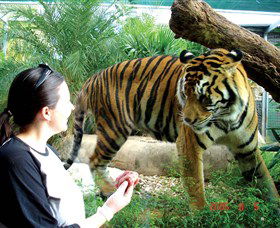Crocodylus Park - Timeshare Accommodation 2