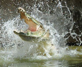 Crocodylus Park - Timeshare Accommodation 5