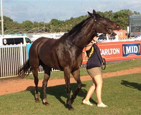 Darwin Turf Club - Timeshare Accommodation 2