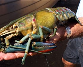 Fairbairn Dam, Lake Maraboon - Timeshare Accommodation 3