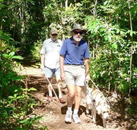 Wongabel State Forest - Timeshare Accommodation