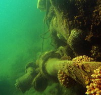Wreck Diving at Magnetic Island