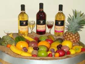 De Brueys Boutique Wines And Functions Venue - Timeshare Accommodation 0