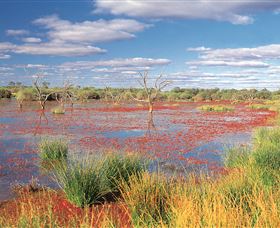 Adventure Way - Timeshare Accommodation 3