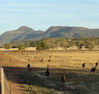 Emu Logic - Timeshare Accommodation