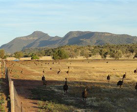 Emu Logic - Timeshare Accommodation 0