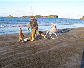 Cape Hillsborough National Park - Timeshare Accommodation 0