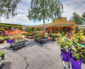 Springhill Nursery - Timeshare Accommodation 2
