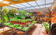 Springhill Nursery - thumb 3