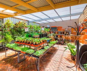 Springhill Nursery - Timeshare Accommodation 3