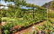 Springhill Nursery - thumb 5