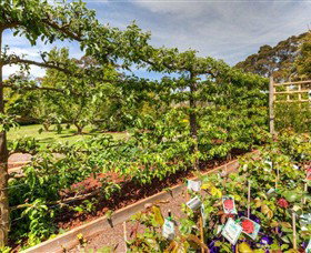 Springhill Nursery - Timeshare Accommodation 5