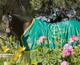 Living Legends: The International Home Of Rest For Champion Horses - Timeshare Accommodation 0