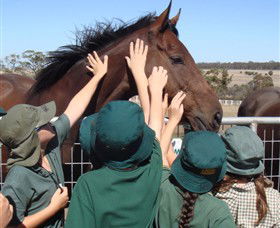 Living Legends: The International Home Of Rest For Champion Horses - Timeshare Accommodation 4