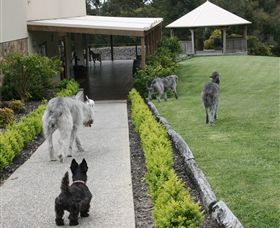 Otway Estate - Timeshare Accommodation 5