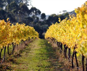 Otway Estate - Timeshare Accommodation 6