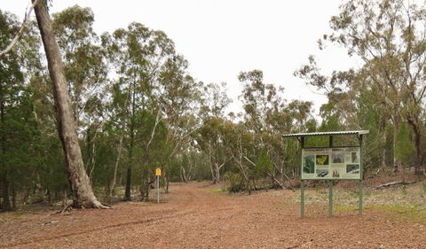 Little Llangothlin Picnic Area - Timeshare Accommodation 2