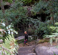 Leura Cascades Fern Bower - Timeshare Accommodation