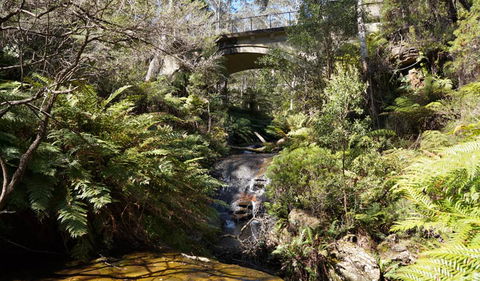 Leura Cascades Fern Bower - Timeshare Accommodation 3