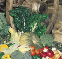 Mulgowie Real Farmers Markets - Timeshare Accommodation