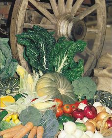 Mulgowie Real Farmers Markets - Timeshare Accommodation 0