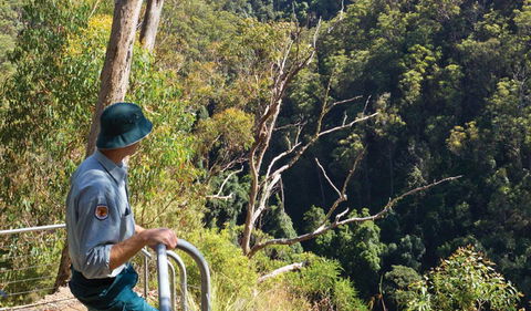 Lyrebird Falls Walking Track - Timeshare Accommodation 1
