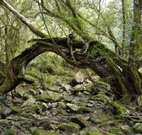 Mitchell River Walking Track - Timeshare Accommodation