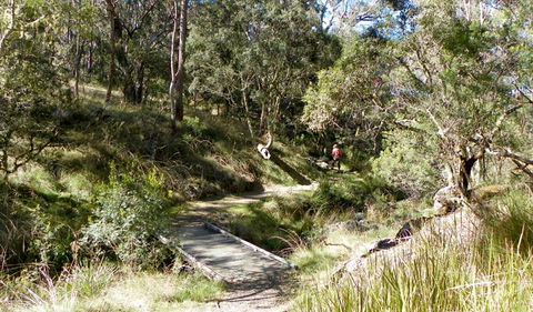 Wollomombi Walking Track - Timeshare Accommodation 0