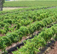 Pokolbin Brothers Wines Hunter Valley - Timeshare Accommodation