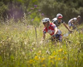 The Australian Botanic Garden Mount Annan - Timeshare Accommodation 3