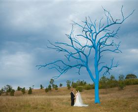 The Australian Botanic Garden Mount Annan - Timeshare Accommodation 5