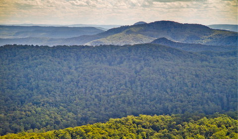 Murray Scrub Lookout - Timeshare Accommodation 1