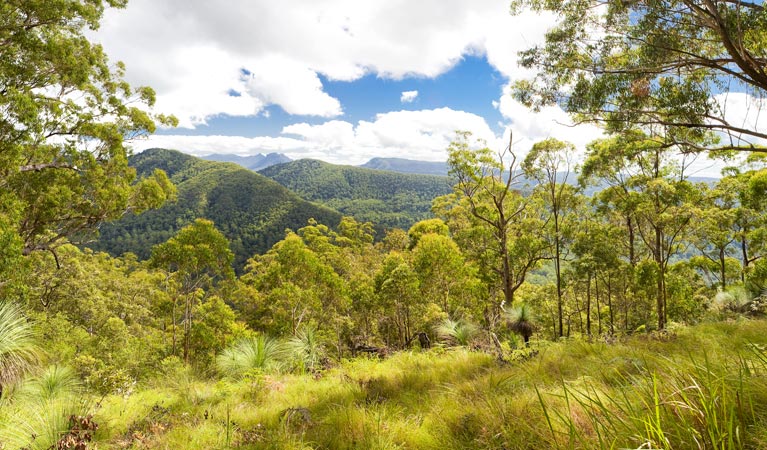 Roseberry Creek ACT Timeshare Accommodation