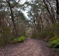 Budawang National Park - Timeshare Accommodation