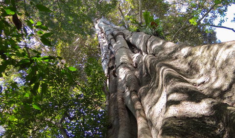 Moore Park Nature Reserve - Timeshare Accommodation 1