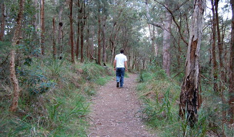 Lake Macquarie State Conservation Area - Timeshare Accommodation 3