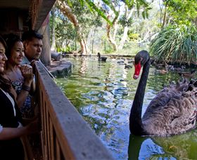 Nura Diya Aboriginal Wildlife Tour At Taronga Zoo - Timeshare Accommodation 3