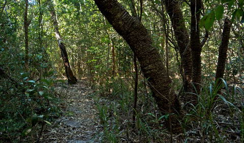Wyrrabalong National Park - Timeshare Accommodation 2